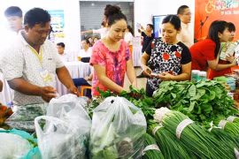 Seminar sets safe food market goals 