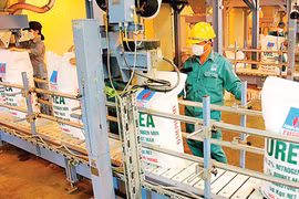 Phu My Urea named among Forbes Top 40 valuable brands