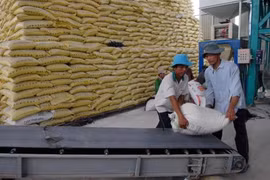 Advanced post-harvest rice technologies introduced 