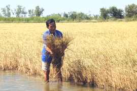 Localities continue to take measures against drought 