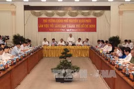 HCM City asks for particular mechanism to facilitate development 