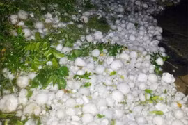 Tuyen Quang works to handle aftermath of hailstorm 
