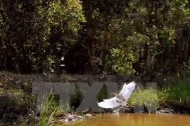 Workshop seeks sustainable biodiversity conservation