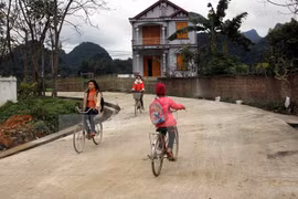 Provinces target more new-style rural communes 
