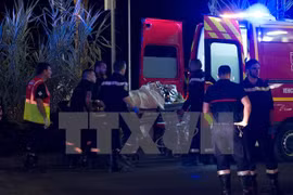 Condolences to France over heavy losses in Nice terrorist attack