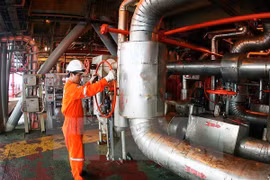 Vietnam, Russia boost links in oil and gas production