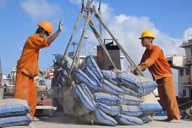 Domestic cement consumption on the rise