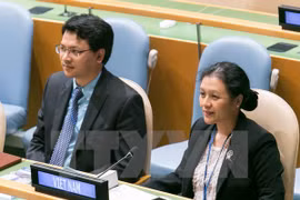 Vietnam highlights UN Charter’s significance in maintaining peace 