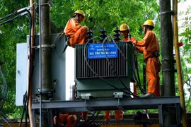 Project to provide electricity for Ca Mau