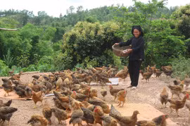 Bac Giang targets cutting household poverty rate