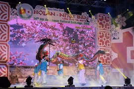 Hoi An-Japan cultural festival opens 