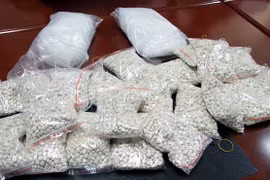 Cambodia, Myanmar destroy large volume of drugs