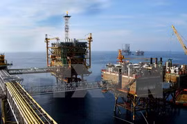 PetroVietnam Southern Gas to offload its shares in CNG