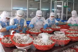 Vietnam's PMI declines in February