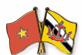 Vietnam, Brunei have expanded defence ties