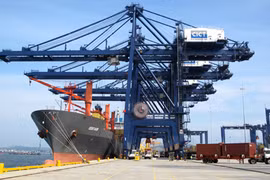 Cai Lan Port welcomes international container ships 