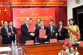 Vietnam, Japan boosts cooperation in agro-forestry-fisheries 