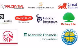 Vietnamese insurance firms target niche market
