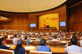 Imperative issues should be under parliament’s supervision: deputies