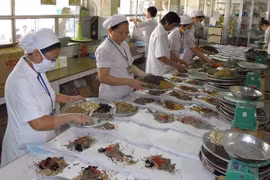Traditional medicine targets stronger development by 2020