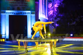 Hue to host international circus festival in May