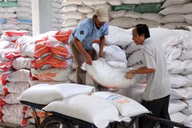 Vietnam hopeful about rice export in 2016