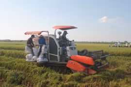 Phu Tho province works to promote sustainable agriculture
