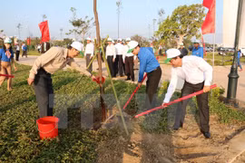HCM City: 480 billion VND spent on greening 