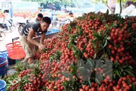 Fruit export surges in first five months