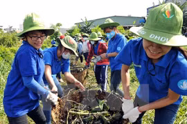 Hanoi youth to join various voluntary activities in 2016