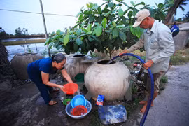 Mekong Delta seeks solutions to saltwater intrusion