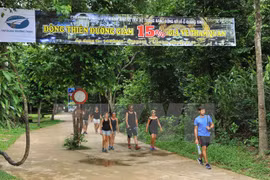 Saigontourist offers discounts on domestic tours 