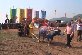 Festivals pray for good harvest in new year 