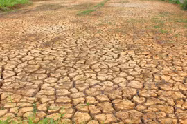 Extreme weather still to come: experts 