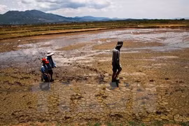 Proper irrigation helps Mekong Delta cope with water crisis 