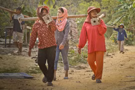 Thailand tightens management of illegal migrant workers