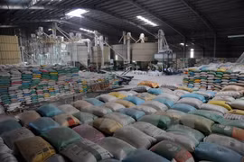 Asia’s dropping rice output threatens food security 