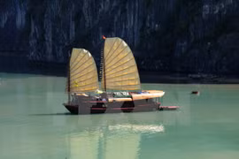 Cruises give a new breath of fresh air to Vietnamese tourism