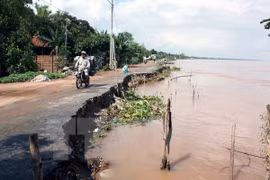 UNDP helps Vietnam battle climate change