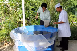 Eight dengue fever prevention teams formed 