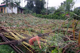 Mountainous provinces suffer from extreme weather events