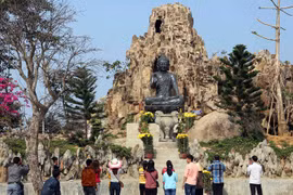 Da Nang vows strict penalties for illegal travel services