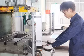 Dong Nai calls for Japanese hi-tech investment 