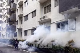 Malaysia suspects new Zika virus type