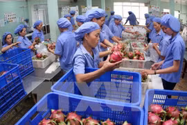 Mekong Delta positive about fruit export