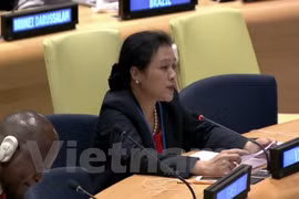 Vietnam continues to work with UNDP to realise SDGs: Ambassador
