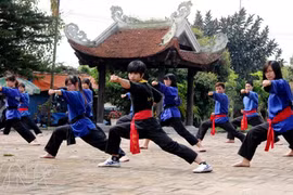 First World martial art championship takes place in HCM City