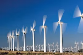Nat’l action programme aims to boost green production, consumption