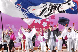 First Japanese cherry blossom festival held in Da Nang 