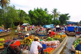 HCM City to host Mekong Delta Forum on climate change